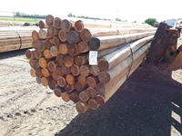    (60) 4 In. - 5 In. x 20 Ft Larch Blunt Poles