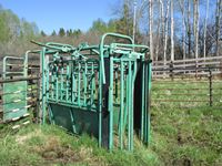  Morand  Cattle Squeeze with Palpation Cage