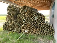    (75) 4-5 In. x 7 Ft Treated Posts