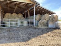    (5) Net Wrapped Grass Mix Round Bales