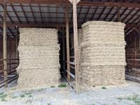    (2) 4 Ft x 4 Ft Grass Mix Square Bales