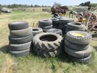    Large Quantity of Tires and Rims