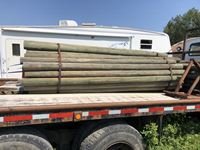    (70±) 4-5 Inch X 10 Ft Treated Blunt End Posts