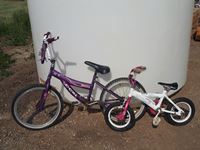    (2) Kids Bikes
