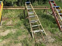    8 Step Ladder & Septic Tank Ladder