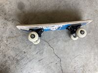    Mini Skate Board