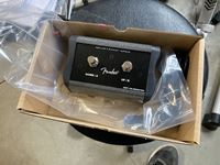    Fender Mustang MS2 Guitar Switch