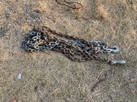    Chains W/ Hooks