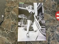    Marilyn Monroe Picture