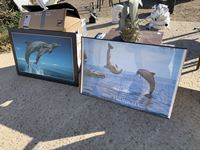    (2) Dolphin Pictures