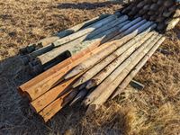 (37±) Treated Fence Posts & Rails