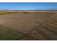NW18-109-17-W5 156.95 Cultivated Productive Acres