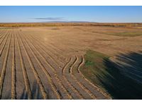 SE19-110-18-W5 160 Acres Level Cultivated Land