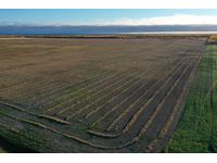 NW18-110-18-W5 153.03 Acres  Cultivated Land