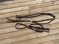    (1) Leather Tie Down & (1) Set of Leather Reins