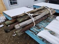    Assortment of Used Fence Posts
