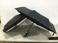    Large and Small Umbrella