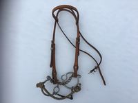 Headstall with Nose Piece & Slip Snaffle