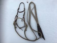Headstall with Bozell & Long Braided Reins