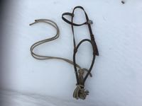 Headstall with Bozell & Short Lead Rope