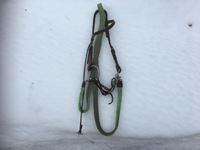 Headstall with Snaffle & Green Barrel Rein