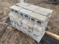   (45±) Construction Bricks