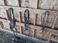   (3) Cattle Show Halters