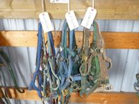    (15±) Halters with Lead Shanks