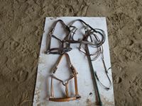    (3) Leather Halters with Bull Whip