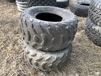    (2) Dunlop 22 X 10-10 Tires