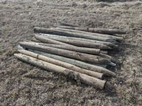    25± Used Fence Posts