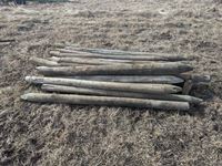    25± Used Fence Posts