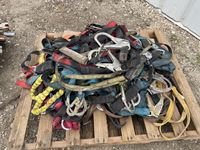    Qty of Lanyards and Harness