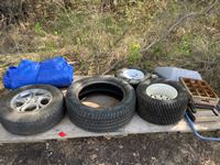    (4) Miscellaneous Tires, Rims, Snow Shovel, Tarp