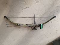    Compound Bow with Blade Head Arrows