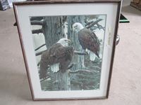    Eagle Picture in Frame