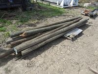    (8) Pressure Treated 12 Ft Posts or Rails