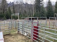    Complete Set Up of Sorting / Holding Pens with One Striping Chute