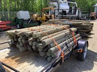    (125±) Treated Fence Posts
