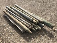Assortment of Fence Posts