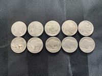    (10) Indian Head Nickels