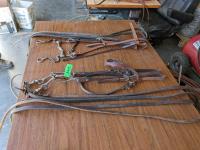 (2) Bridles with Reins and Bits