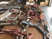 (9) Horse Halters, (2) Colt Halters