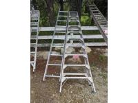 (2) Ladders, Step & Straight