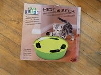Cat Hide & Seek