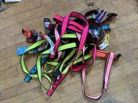 Qty of Dog Leashes