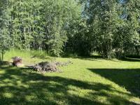 4708 54 Ave Wildwood, AB 1/2 Acre treed tot