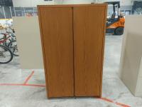 Wood 2 Door Storage Cabinet