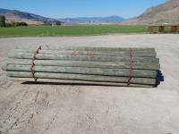 (35) 6-7 Inch X 12 Ft Treated Ag Post Peeled Blunt