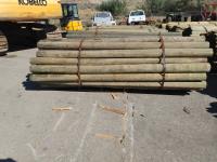 (45) 5-6 Inch X 10 Ft Treated Ag Post Peeled Blunt
